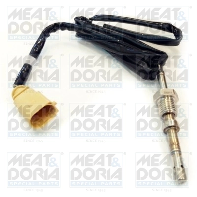 Sensor, exhaust gas temperature